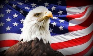 American Eagle and American Flag 